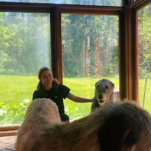 Meet your Posher, Hannah